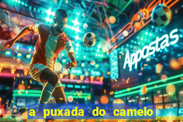 a puxada do camelo no jogo do bicho